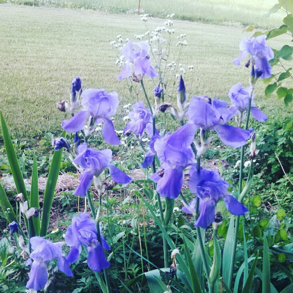 N/A - Picture 1 of 1